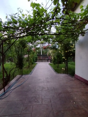 Imobil de vanzare Corbeanca - imagine 3