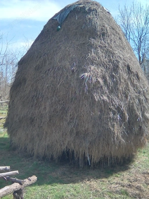 Fan+Otava si de calitate.