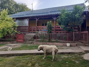 casa de vanzare  - imagine 4