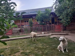 casa de vanzare  - imagine 8