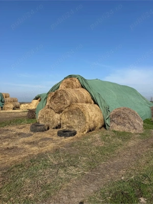 baloti de fan, paie, trifoi, ovaz