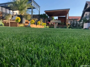 Servicii peisagistice 