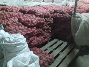 Cartofi rosii Laura samanta consum