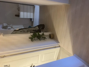 Spațiu comercial Central - Capitol - Asirom - Intrare din str. Mircea cel Bătrân  - imagine 4