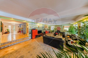 Vilă cu 4 camere de vânzare 921 mp zona Subcetate,Arad - imagine 20