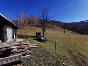 De vânzare teren intravilan 10,100 mp, cu anexă, Munteni - imagine 10