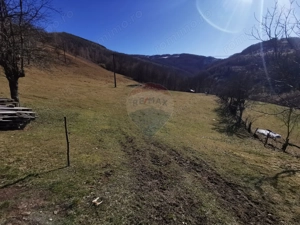 De vânzare teren intravilan 10,100 mp, cu anexă, Munteni - imagine 7