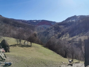 De vânzare teren intravilan 10,100 mp, cu anexă, Munteni - imagine 4
