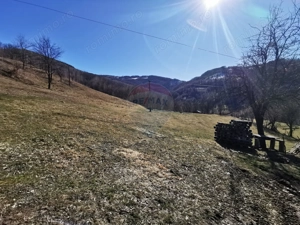 De vânzare teren intravilan 10,100 mp, cu anexă, Munteni - imagine 6