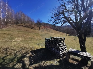 De vânzare teren intravilan 10,100 mp, cu anexă, Munteni - imagine 8