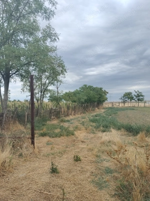 Vând casă bătrânească sat Smirna jud ialomita