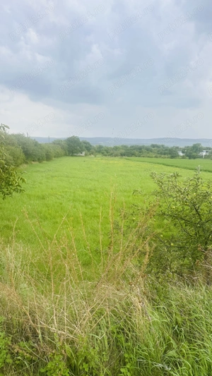 Teren intravilan Centura Zalău Hale