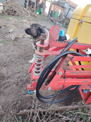 Stație erbicidat 600 litri - imagine 3