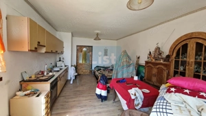 Proprietate cu 2 case de vanzare, Baia Sprie Centru Comision 0% - imagine 2