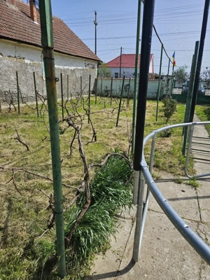 Vând casa Giulvaz strada principala - imagine 6