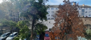 De inchiriat apartament 2 camere, Tg Mures, Ultracentral - imagine 9