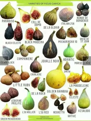 Smochini cu pulpa roz  !