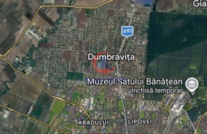 Vila, Dumbravita, Central