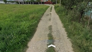 Teren intravilan   Capatanesti   Maracineni   2500mp   d=20   Pret: 23  mp neg.    - imagine 2