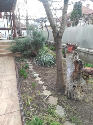 casa pe un nivel,zona Mărăști  - imagine 2