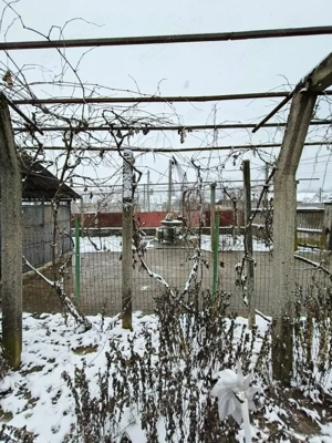 Proprietate rară – 2 case + livadă, vie și teren generos, la 20 km de Târgu Jiu - imagine 11