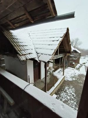 Proprietate rară – 2 case + livadă, vie și teren generos, la 20 km de Târgu Jiu - imagine 8