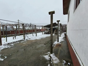 Proprietate rară – 2 case + livadă, vie și teren generos, la 20 km de Târgu Jiu - imagine 14