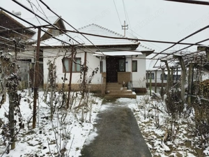 Proprietate rară – 2 case + livadă, vie și teren generos, la 20 km de Târgu Jiu - imagine 3