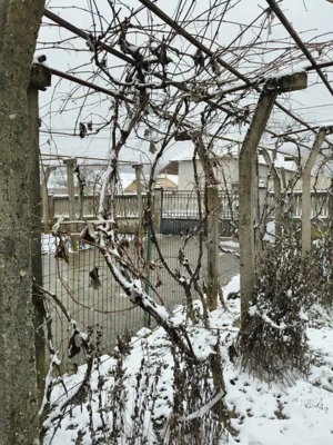 Proprietate rară – 2 case + livadă, vie și teren generos, la 20 km de Târgu Jiu - imagine 10