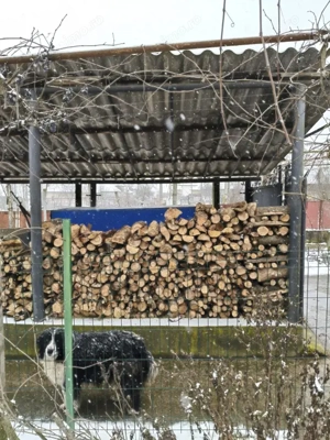 Proprietate rară – 2 case + livadă, vie și teren generos, la 20 km de Târgu Jiu - imagine 12