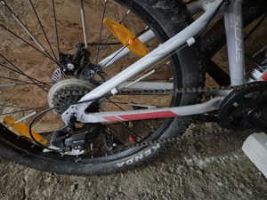 Bicicleta SCOTT 24''