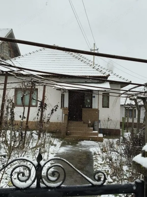 Proprietate rară – 2 case + livadă, vie și teren generos, la 20 km de Târgu Jiu - imagine 4