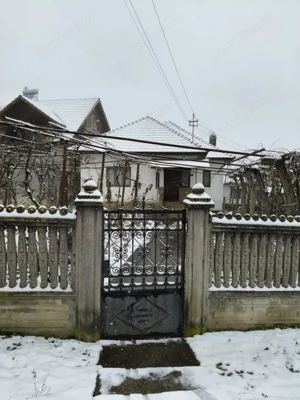 Proprietate rară – 2 case + livadă, vie și teren generos, la 20 km de Târgu Jiu - imagine 2