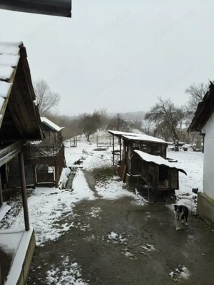 Proprietate rară – 2 case + livadă, vie și teren generos, la 20 km de Târgu Jiu - imagine 17