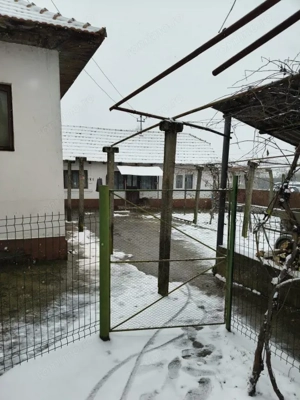 Proprietate rară – 2 case + livadă, vie și teren generos, la 20 km de Târgu Jiu - imagine 18