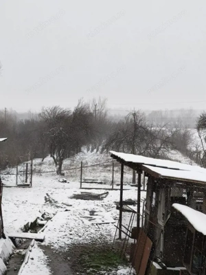 Proprietate rară – 2 case + livadă, vie și teren generos, la 20 km de Târgu Jiu - imagine 16