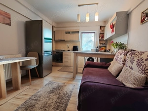 Apartament 2 camere Eremia Grigorescu, etaj 1, renovat, mobilat, centrala - imagine 2
