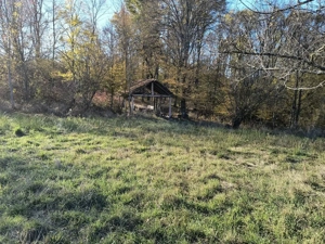  Vând livada de pruni tineri - 8700 metri pătrați - Ramna, județul Caraș-Severin  - imagine 3