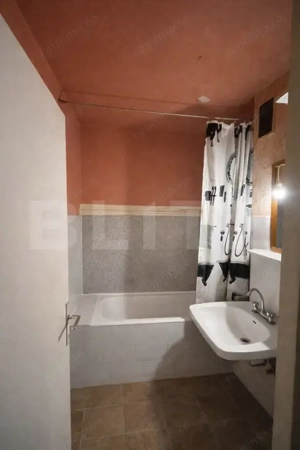 Apartament ideal pentru renovare, vedere la Bega, 2 camere - imagine 8