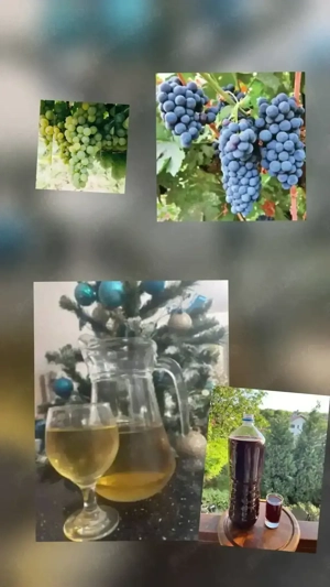 Vand vin alb si rosu facut  de casa