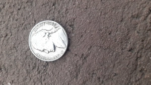 5 cenți jefferson 1962