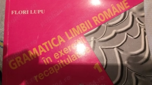 Gramatica limbii romane in exercitii recapitulative, vol. 1