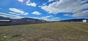 Teren 6607 Mp, Albesti, judet Mures