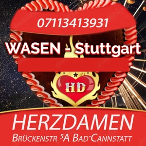 Herzdamen Stuttgart. 26 de ani de Experienta in domeniu erotic.