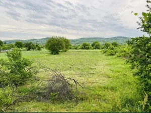 Vanzare teren intravilan Topoloveni, Arges 1933 mp - imagine 3