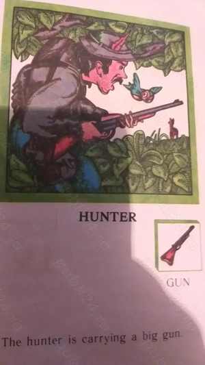 In the forrest  - imagine 2