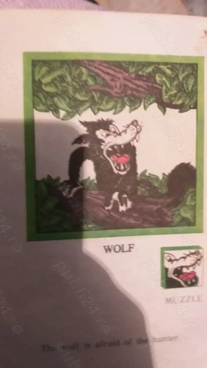 In the forrest  - imagine 3