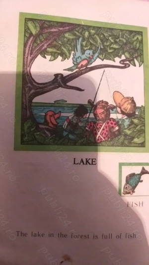 In the forrest  - imagine 4