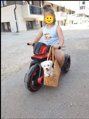 Motocicleta electrica 