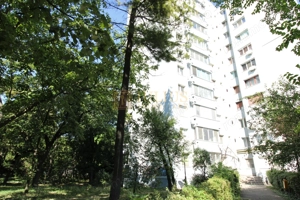 Amplasat intre Iulius Mall si Parcul Botanic, liber.